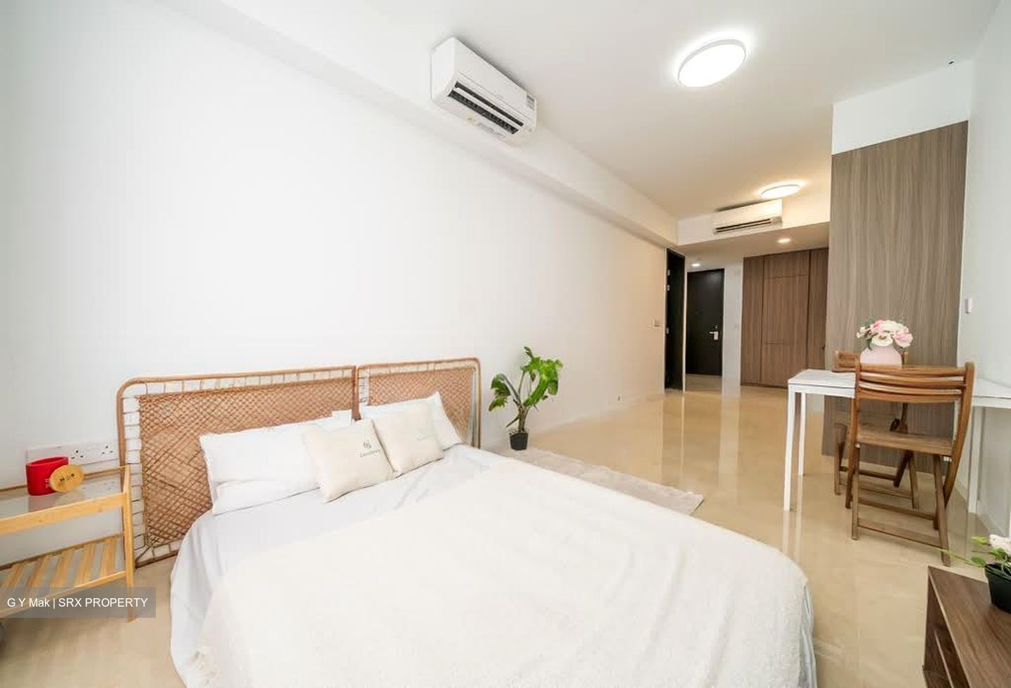 Irwell Hill Residences (D9), Apartment #529599601
